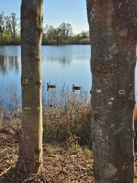 Ein Ausflugstipp – Der Bruchsee in Heppenheim