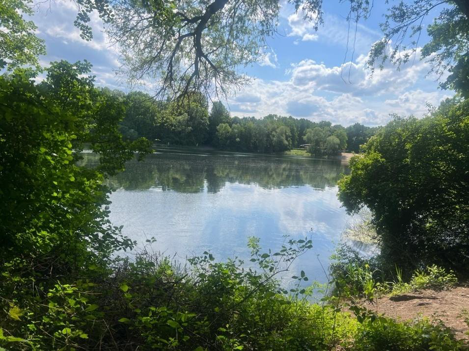 „Gehspaziergang“ in Bensheim: Gespräche, Bewegung und neue Kontakte